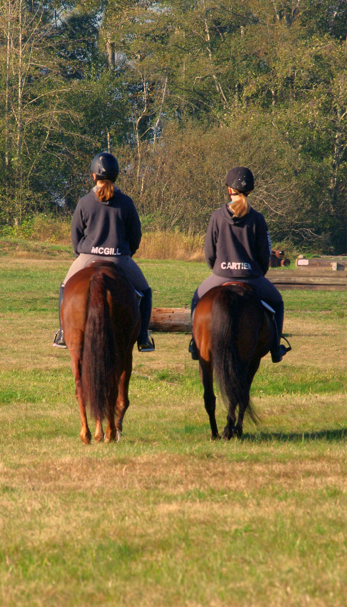 Two riders on horseback
